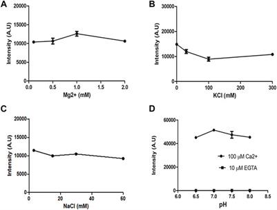 Bioluminescent Sensors for Ca++ Flux Imaging and the Introduction of a New Intensity-Based Ca++ Sensor